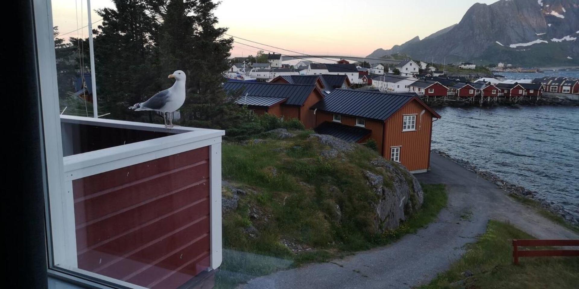 Lofoten Panoramic Luxury With Sauna Holiday home